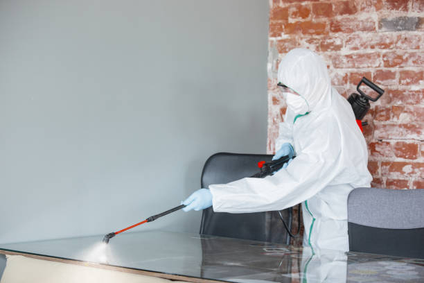 Best Crawl Space Mold Remediation  in Nashua, IA